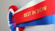 best asx shares represented by best in show ribbon